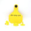 Picture of Y-Tex Matched Pair Sets 4in Yellow 20 Pack FDX CCIA
