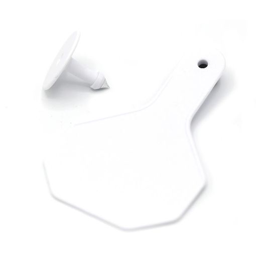 Picture of Y-Tex Medium Blank White 25 Pack