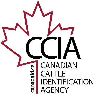 Show products in category CCIA Picture for category CCIA