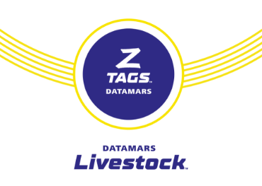 Show products in category Z Tags by Datamars Livestock Picture for category Z Tags by Datamars Livestock