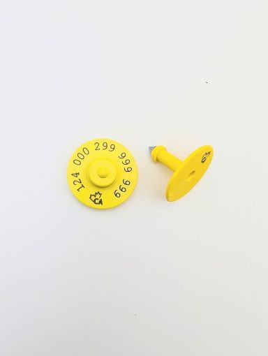 Picture of Y-Tex Indicator 100 Pack FDX CCIA