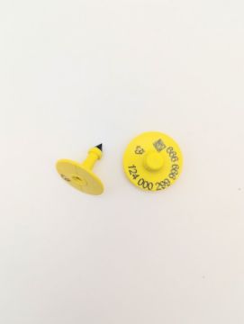 Show details for ComfortEar by Z Tags  Indicator 100 Pack FDX CCIA Picture of ComfortEar by Z Tags  Indicator 100 Pack FDX CCIA