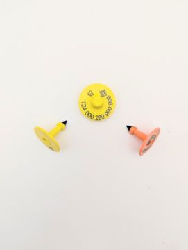 Show details for ComfortEar by Z Tags Gelbvieh 100 Pack FDX CCIA Picture of ComfortEar by Z Tags Gelbvieh 100 Pack FDX CCIA