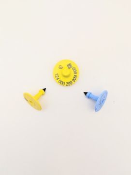 Show details for ComfortEar by Z Tags Simmental 25 Pack FDX CCIA Picture of ComfortEar by Z Tags Simmental 25 Pack FDX CCIA