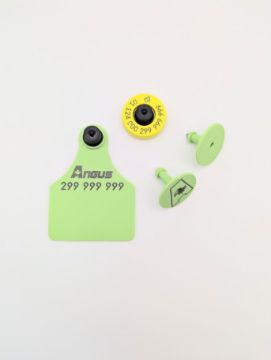 Show details for Allflex Angus 25 Pack FDX 3in Set - Small Male & Large Female CCIA Picture of Allflex Angus 25 Pack FDX 3in Set - Small Male & Large Female CCIA