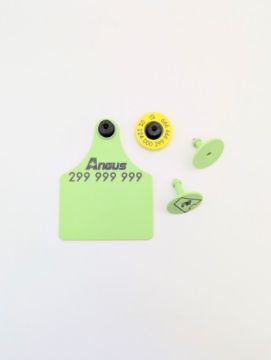 Show details for Allflex Angus 25 Pack FDX 4in Set - Small Male & Maxi Female CCIA Picture of Allflex Angus 25 Pack FDX 4in Set - Small Male & Maxi Female CCIA