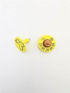Show details for Destron Fearing Indicator 100 Pack FDX CCIA Picture of Destron Fearing Indicator 100 Pack FDX CCIA