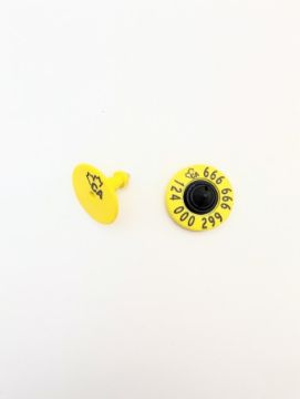 Show details for Leader Products Indicator 25 Pack HDX CCIA Picture of Leader Products Indicator 25 Pack HDX CCIA