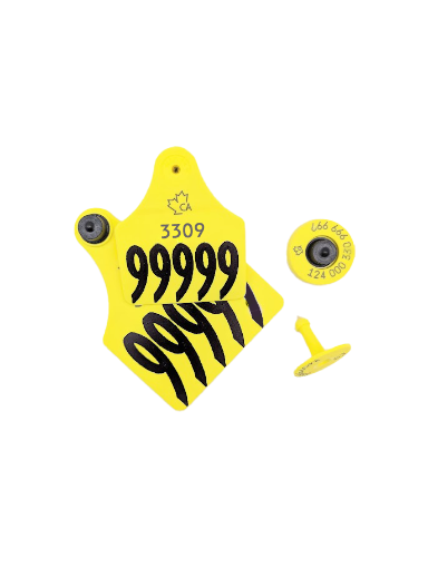 Picture of Allflex Elk 10 Pack Visual Set CCIA