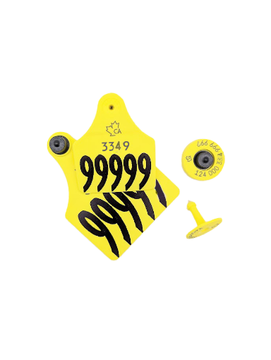 Picture of Allflex Elk 10 Pack FDX + 3in Visual Set CCIA