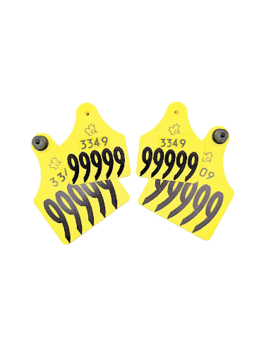 Picture of Allflex Elk 10 Pack Visual Set CCIA