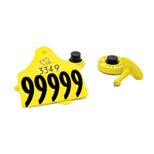 Picture of Allflex Red Deer 10 Pack FDX + 2in Visual Set CCIA