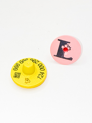 Picture of ComfortEar by Z Tags Limousin 100 Pack FDX CCIA