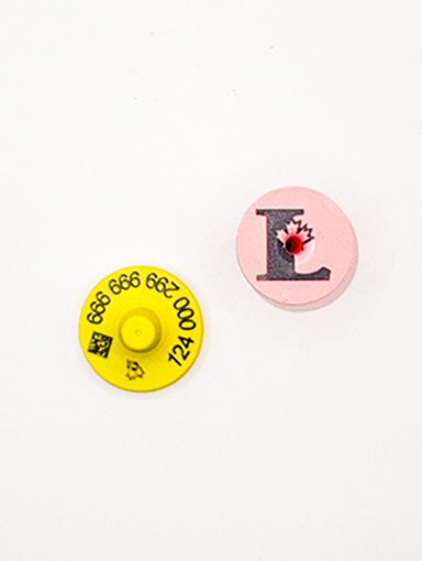 Picture of ComfortEar by Z Tags Limousin 25 Pack FDX CCIA