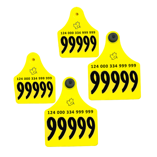 Picture of Allflex Elk 10 Pack 2in Male & 3in Female Visual Set CCIA