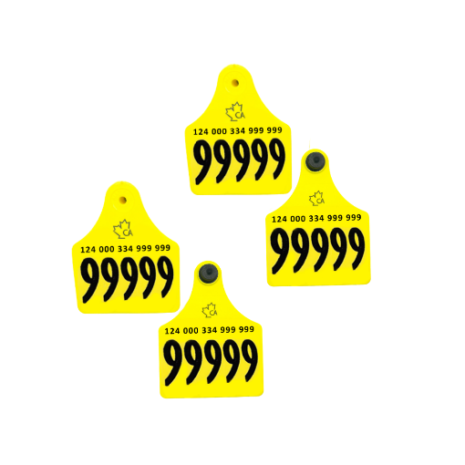 Picture of Allflex Red Deer 10 Pack 2in Visual Set CCIA